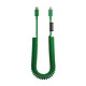 Native Union Câble USB-C vers USB-C 60W Spiralé 2.4m Série POP Charge Rapide Vert - Longueur XL extensible jusqu'à 2,4 m offrant un confort d'utilisation optimal pour recharger vos appareils à distance
