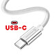 Swissten Câble USB-C vers USB-C 3m 60W Universel Charge et Transfert Rapide Argent pas cher