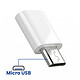 Acheter Blue Star Mini Adaptateur USB-C vers Micro-USB pour Charge et Synchronisation Argent