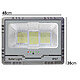 Acheter Avizar Projecteur Solaire LED 17W IP67 avec Batterie 20000mAh  avec Panneau 17W