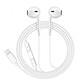 Avizar Écouteurs Filaires pour iPhone XS Lightning avec Micro intégré Blanc Écouteurs compatibles avec iPhone XS et tous les appareils dotés d'une connectique Lightning (pour l'audio)