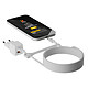 Xtorm Chargeur Secteur Rapide 25W Double Port USB-C / USB-A Série NextGen Blanc pas cher