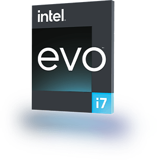Badge Intel